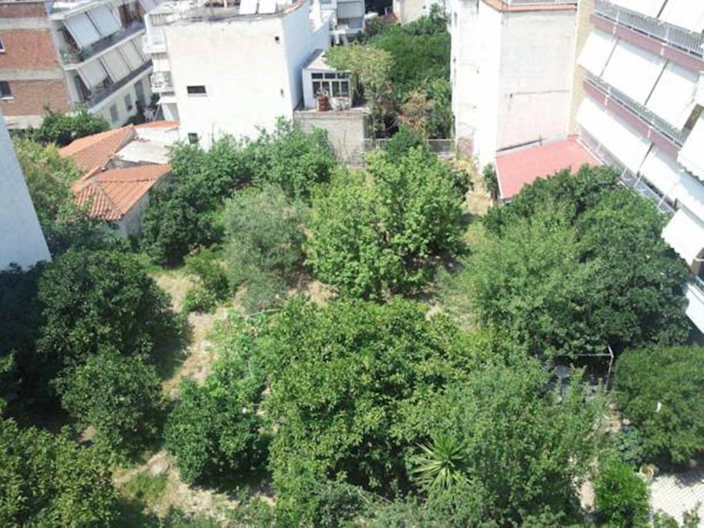 Foivos Hotel Loutra Edipsou  Ruang foto